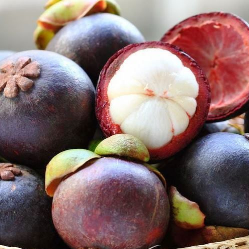 Fresh Kokum